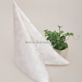 Ofelia 1